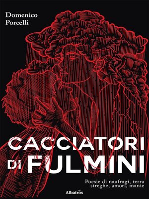 cover image of Cacciatori di fulmini